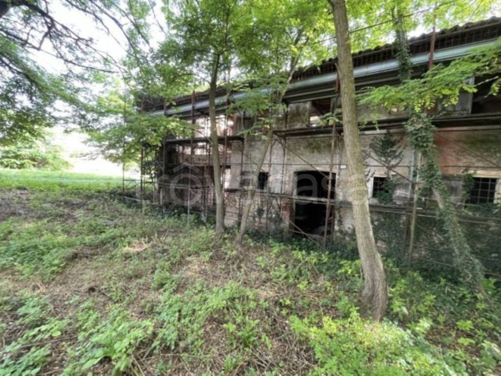 immagine annuncio 3 di 12