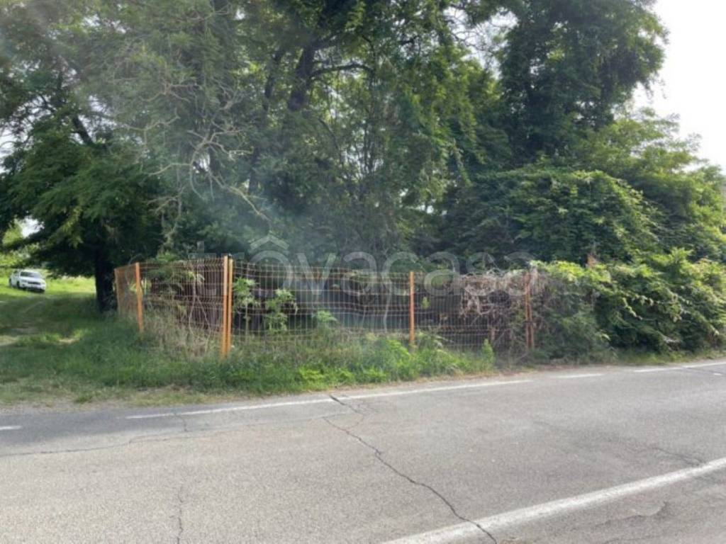 immagine annuncio 4 di 12