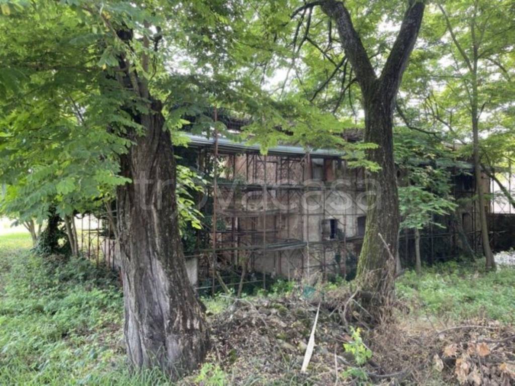 immagine annuncio 5 di 12