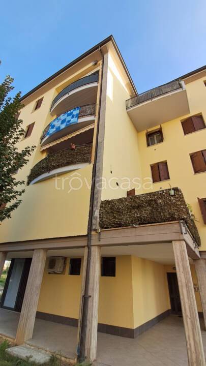 immagine annuncio 1 di 9