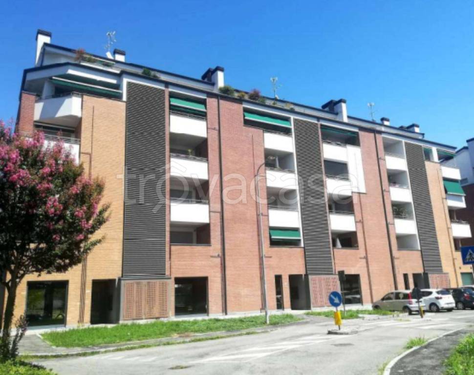 immagine annuncio 3 di 12