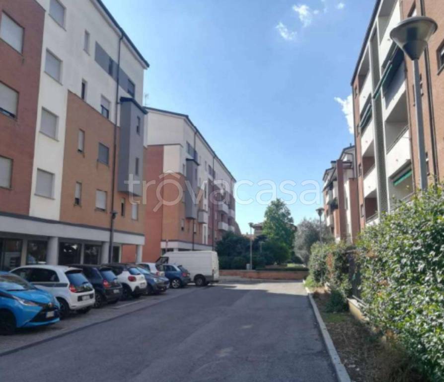 immagine annuncio 4 di 12