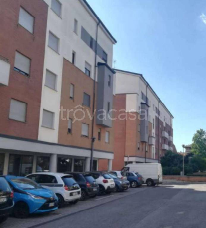 immagine annuncio 9 di 12