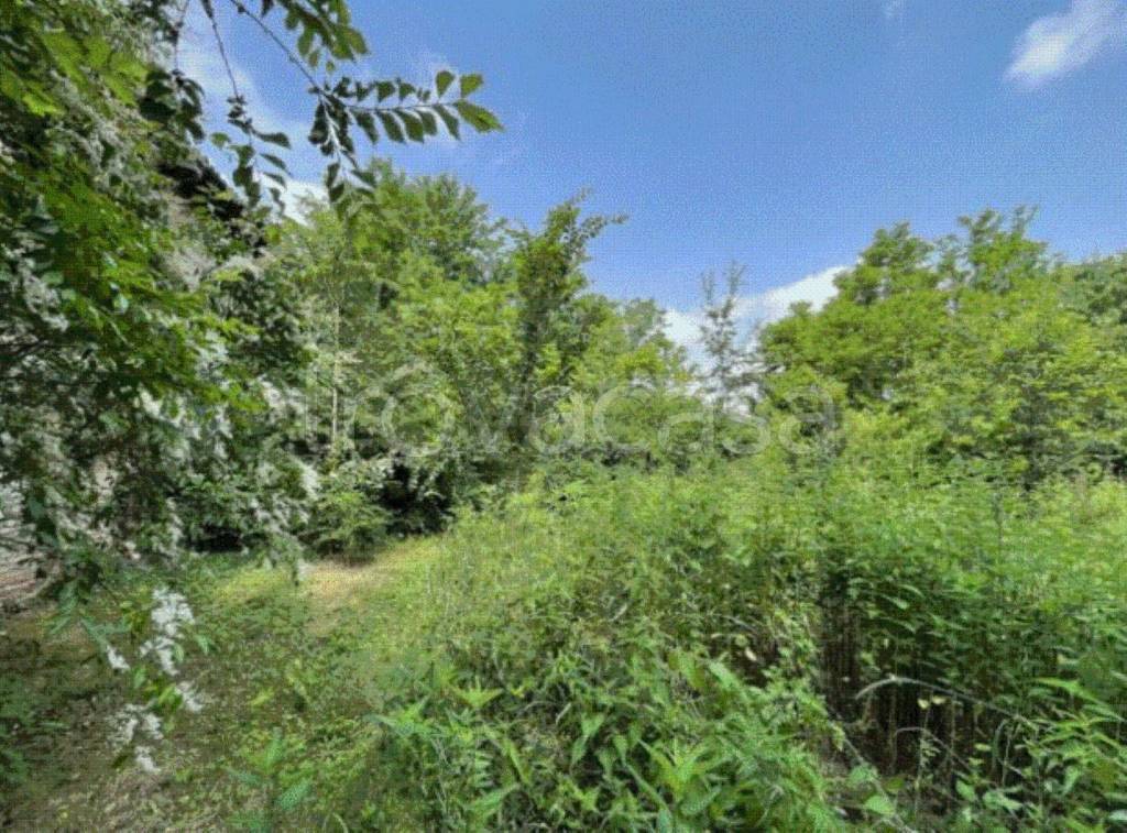 immagine annuncio 2 di 6