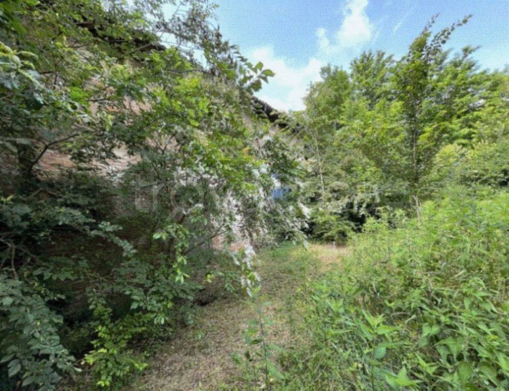 immagine annuncio 3 di 6