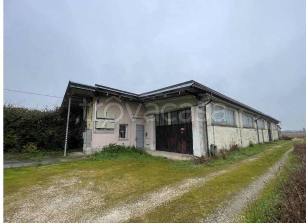 immagine annuncio 2 di 12