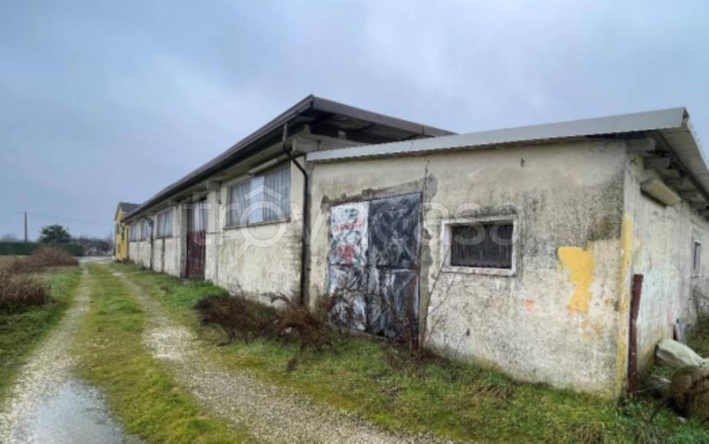 immagine annuncio 3 di 12