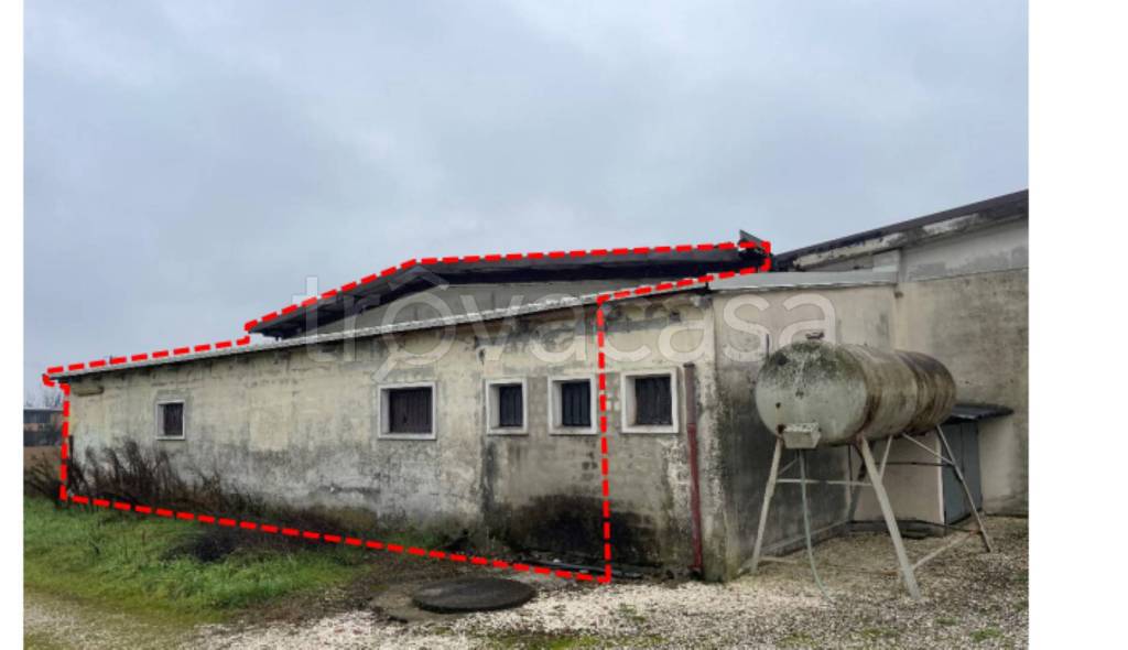 immagine annuncio 4 di 12