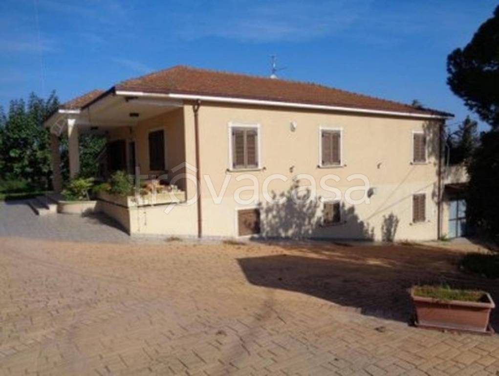 immagine annuncio 9 di 11