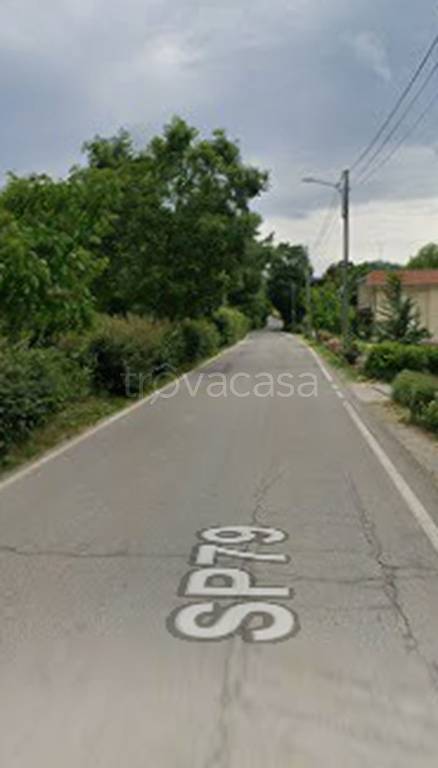 immagine annuncio 2 di 11