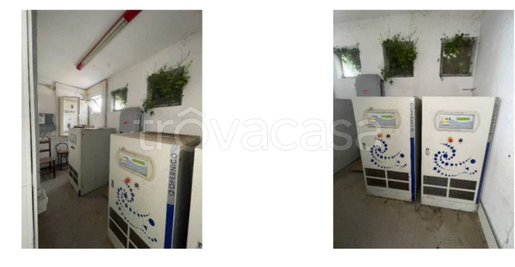 immagine annuncio 9 di 12