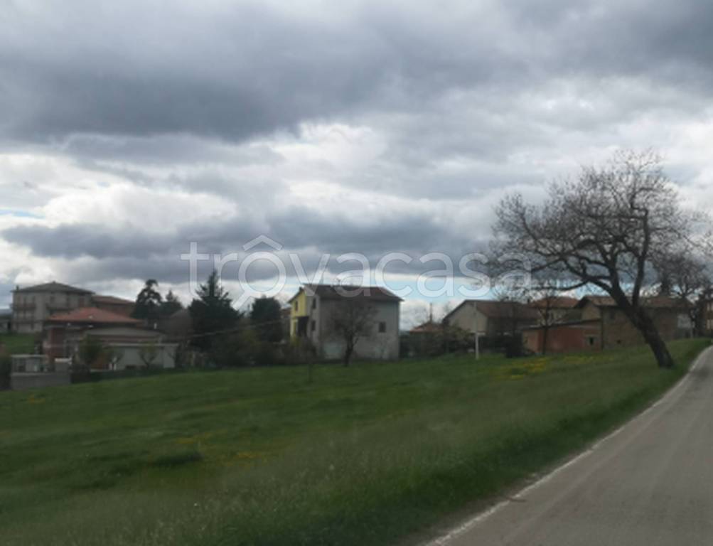 immagine annuncio 5 di 11