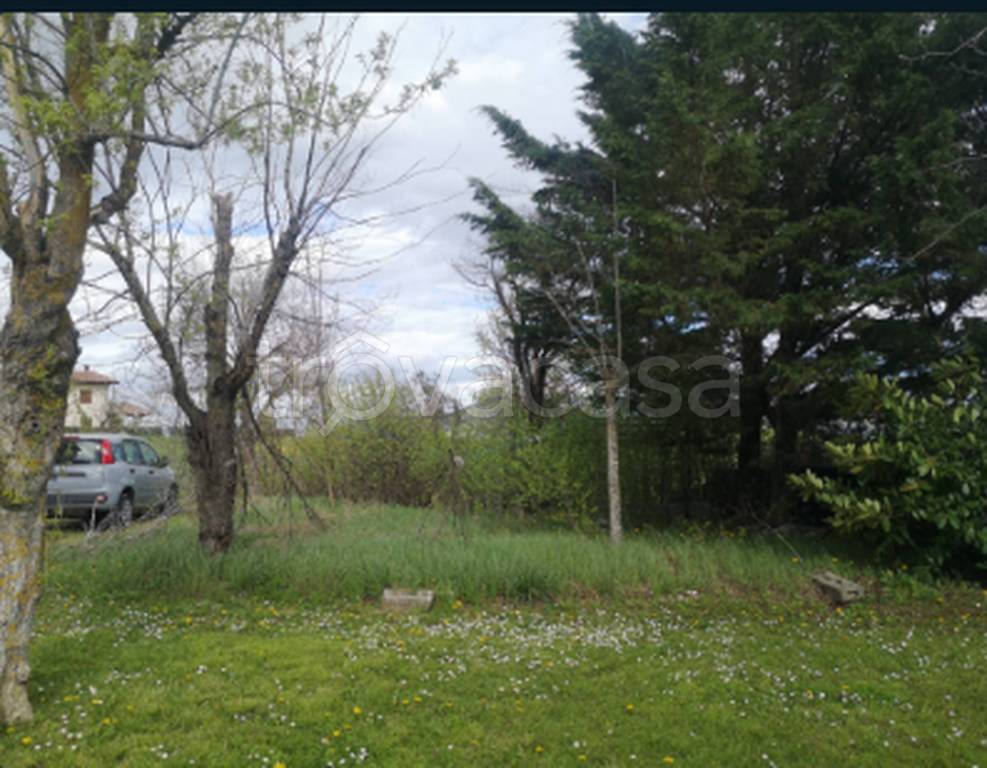 immagine annuncio 8 di 11