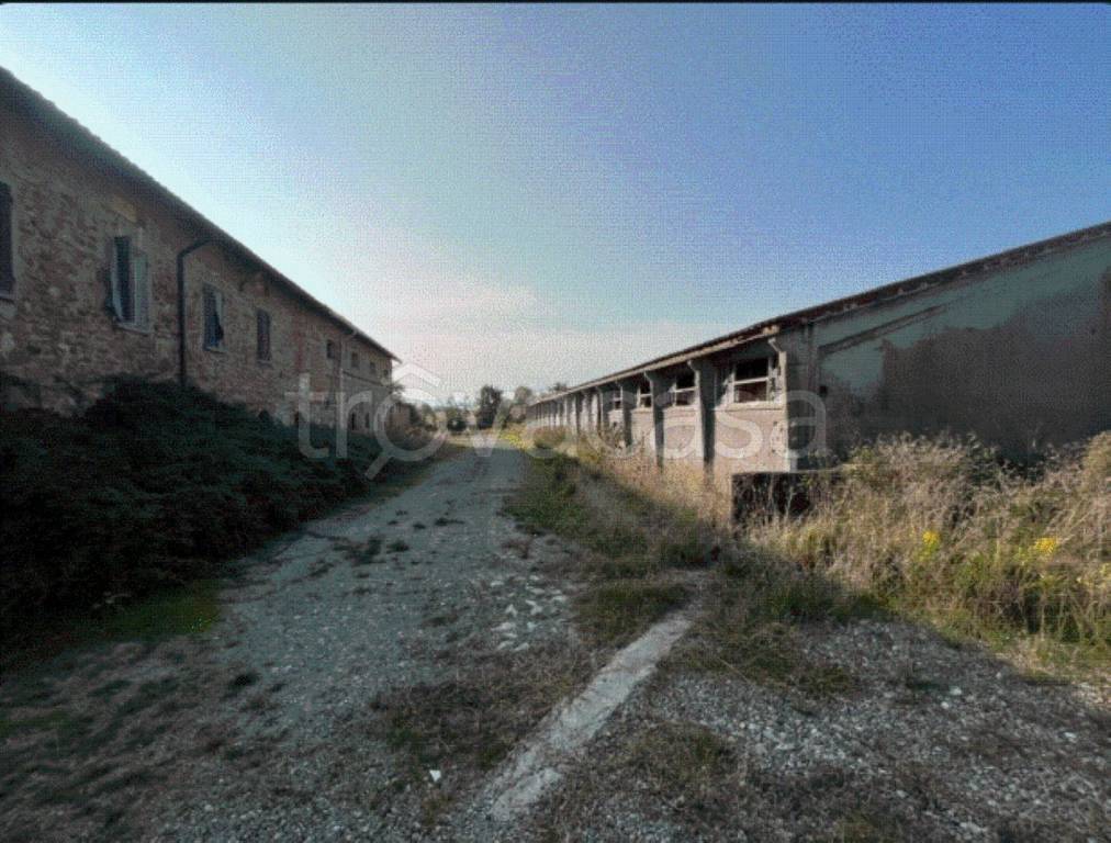 immagine annuncio 6 di 7