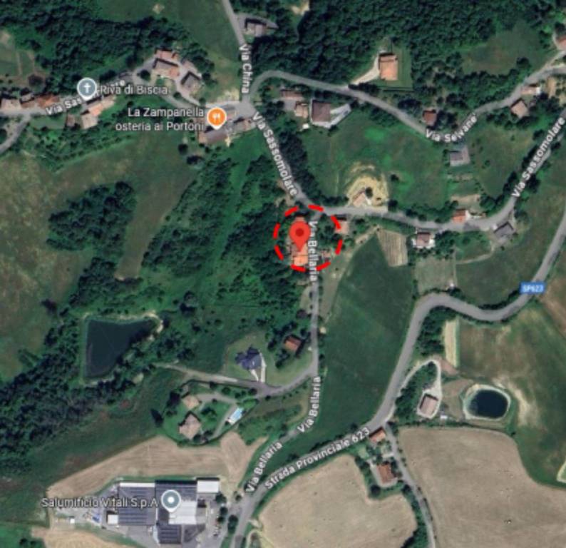 immagine annuncio 1 di 13