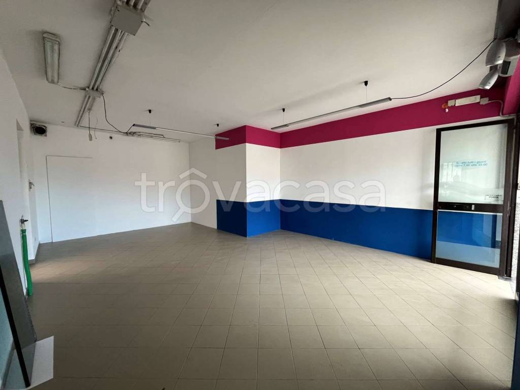 immagine annuncio 1 di 6