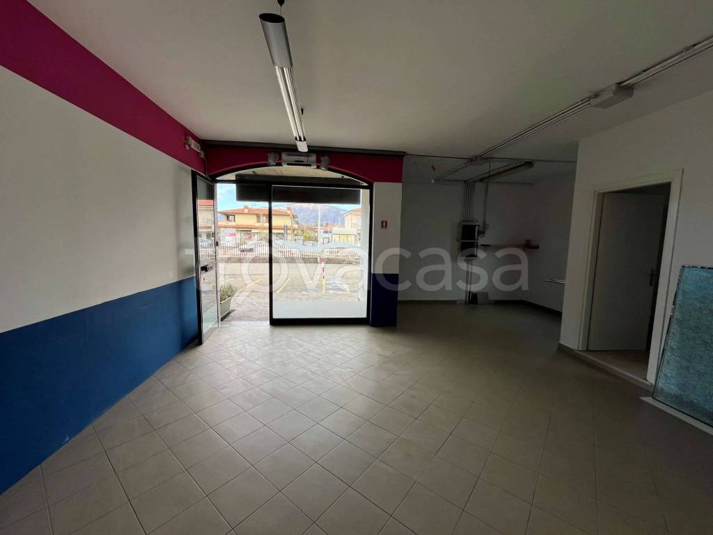 immagine annuncio 2 di 6