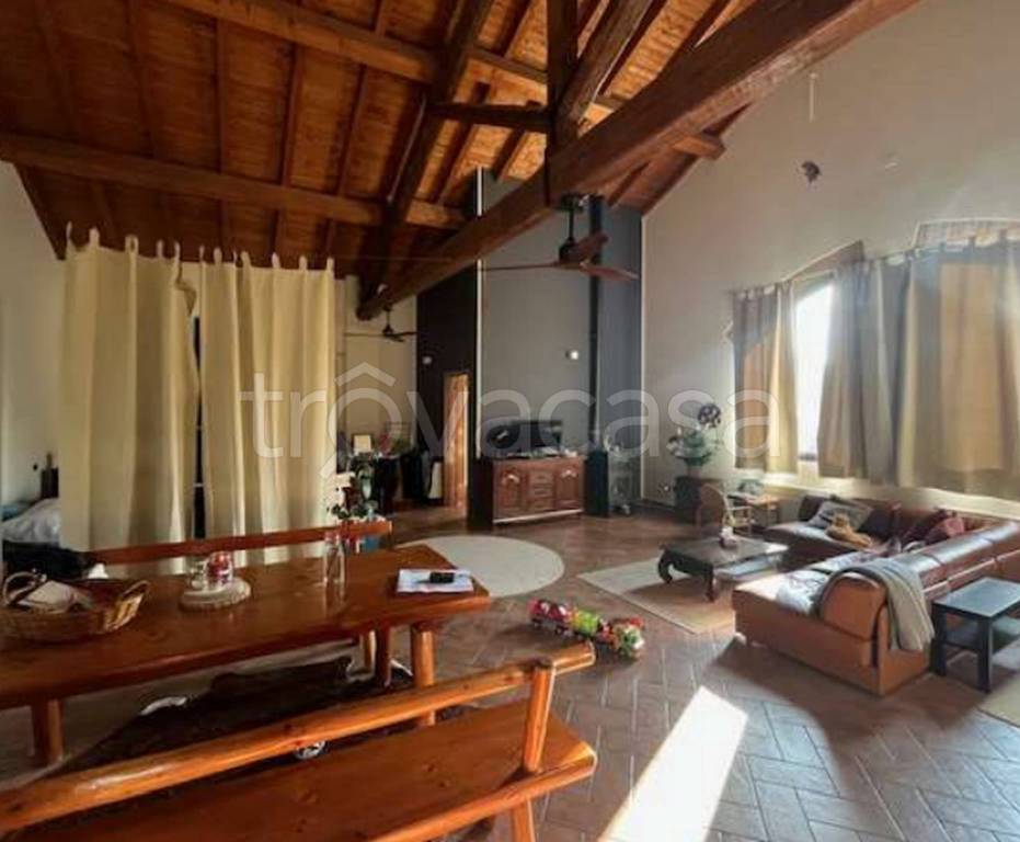 immagine annuncio 7 di 14