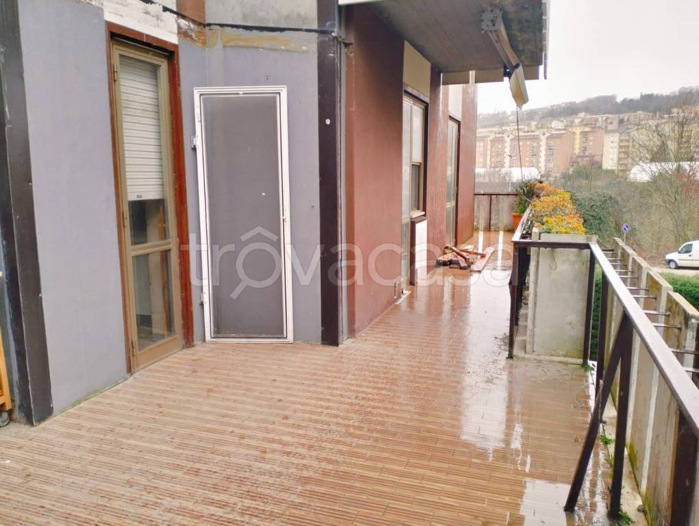 immagine annuncio 10 di 13