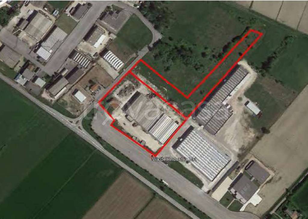 immagine annuncio 8 di 11