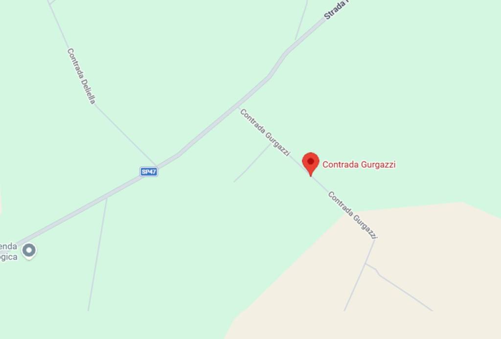 immagine annuncio 2 di 11