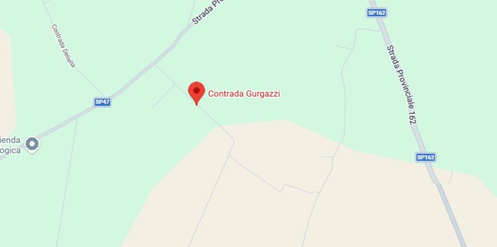 immagine annuncio 3 di 11