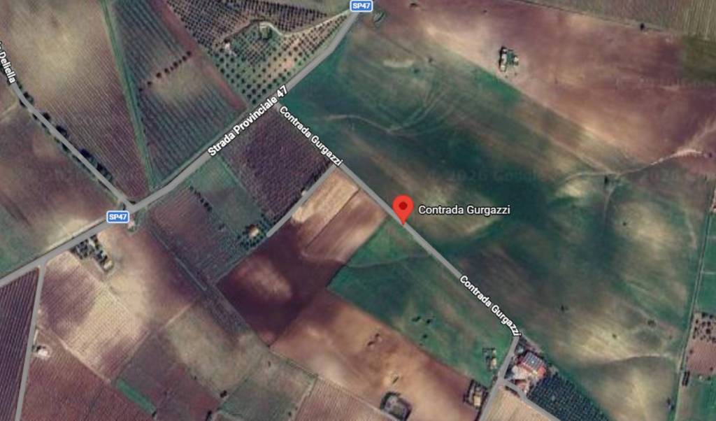 immagine annuncio 5 di 11