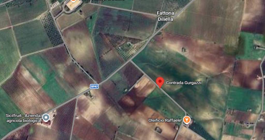 immagine annuncio 6 di 11