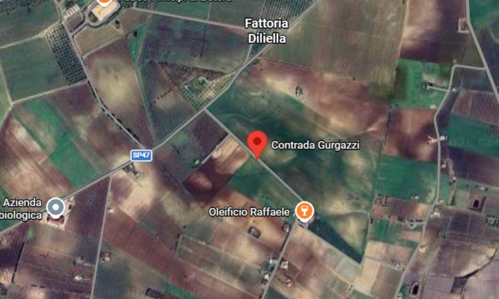 immagine annuncio 7 di 11