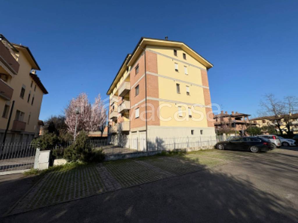 immagine annuncio 1 di 11