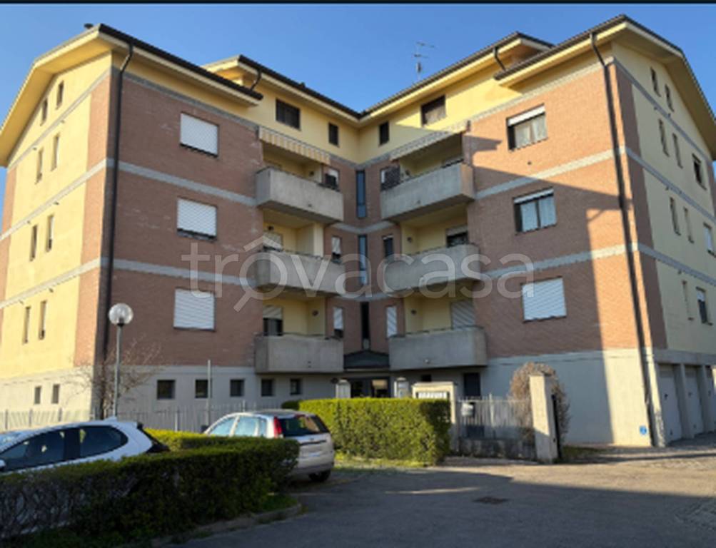 immagine annuncio 10 di 11