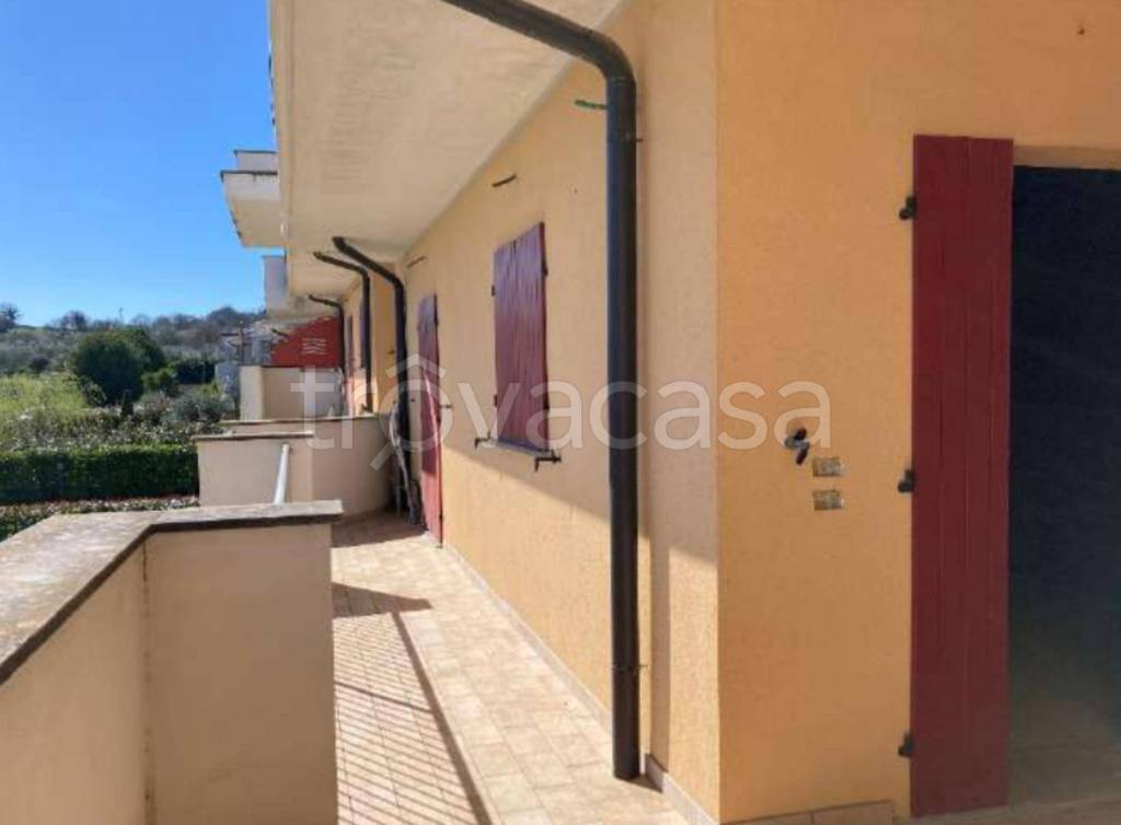 immagine annuncio 2 di 11