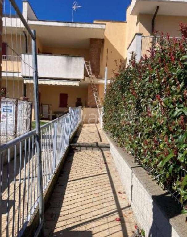 immagine annuncio 6 di 11