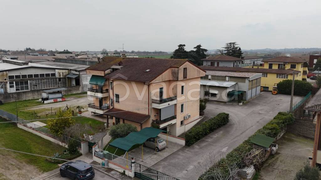 immagine annuncio 3 di 7