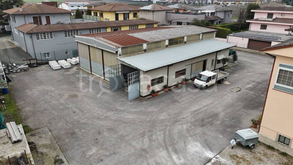 immagine annuncio 2 di 7