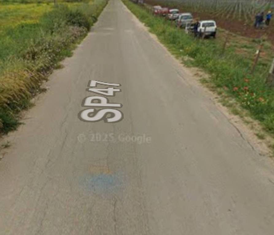 immagine annuncio 5 di 11