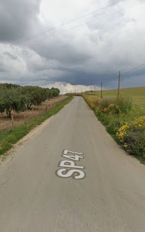 immagine annuncio 8 di 11