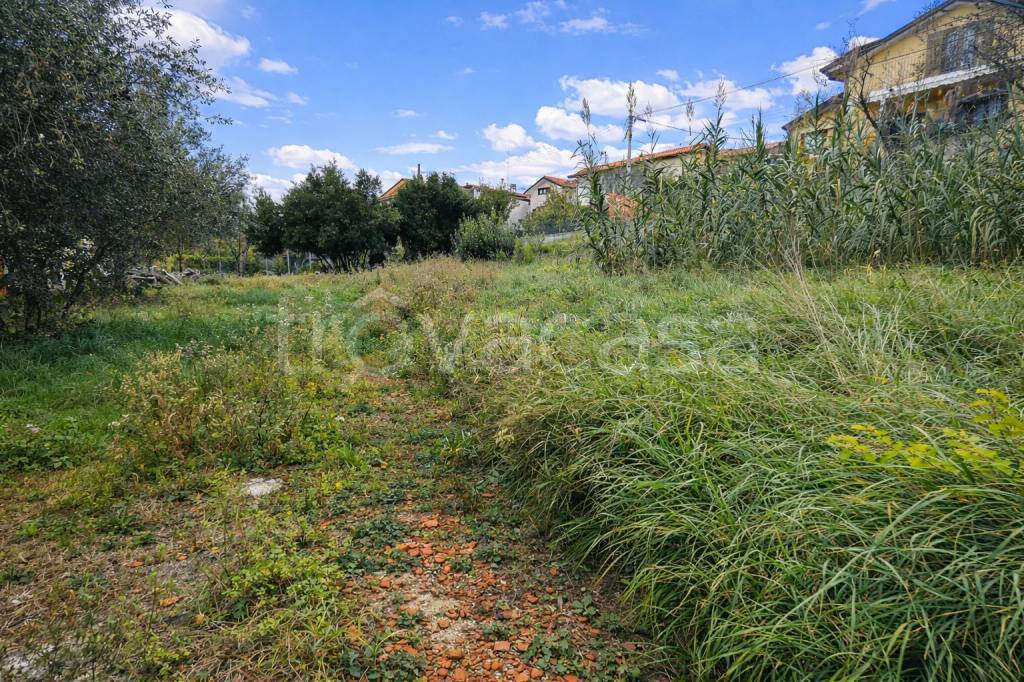 immagine annuncio 1 di 3