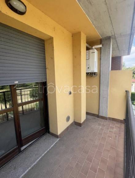 immagine annuncio 7 di 13