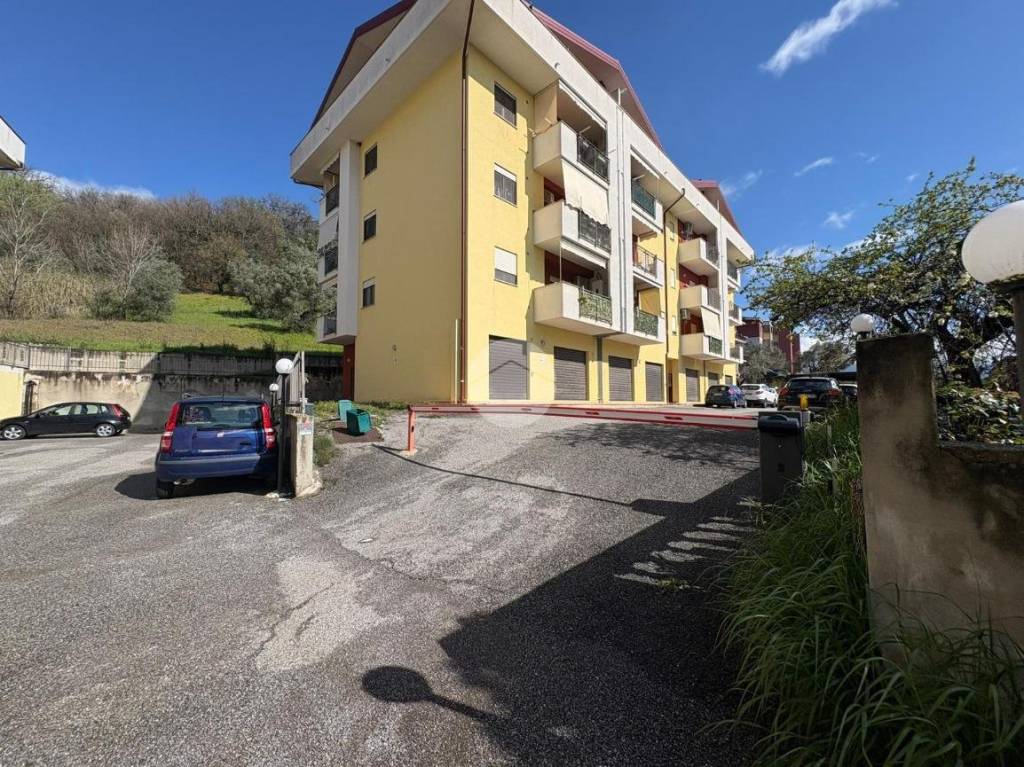 immagine annuncio 13 di 15