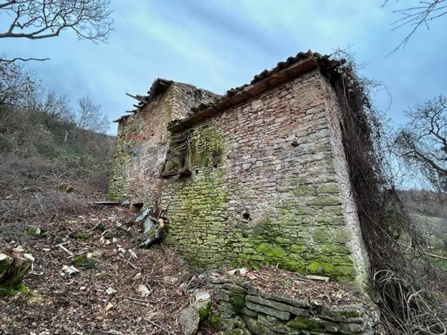 immagine annuncio 2 di 13