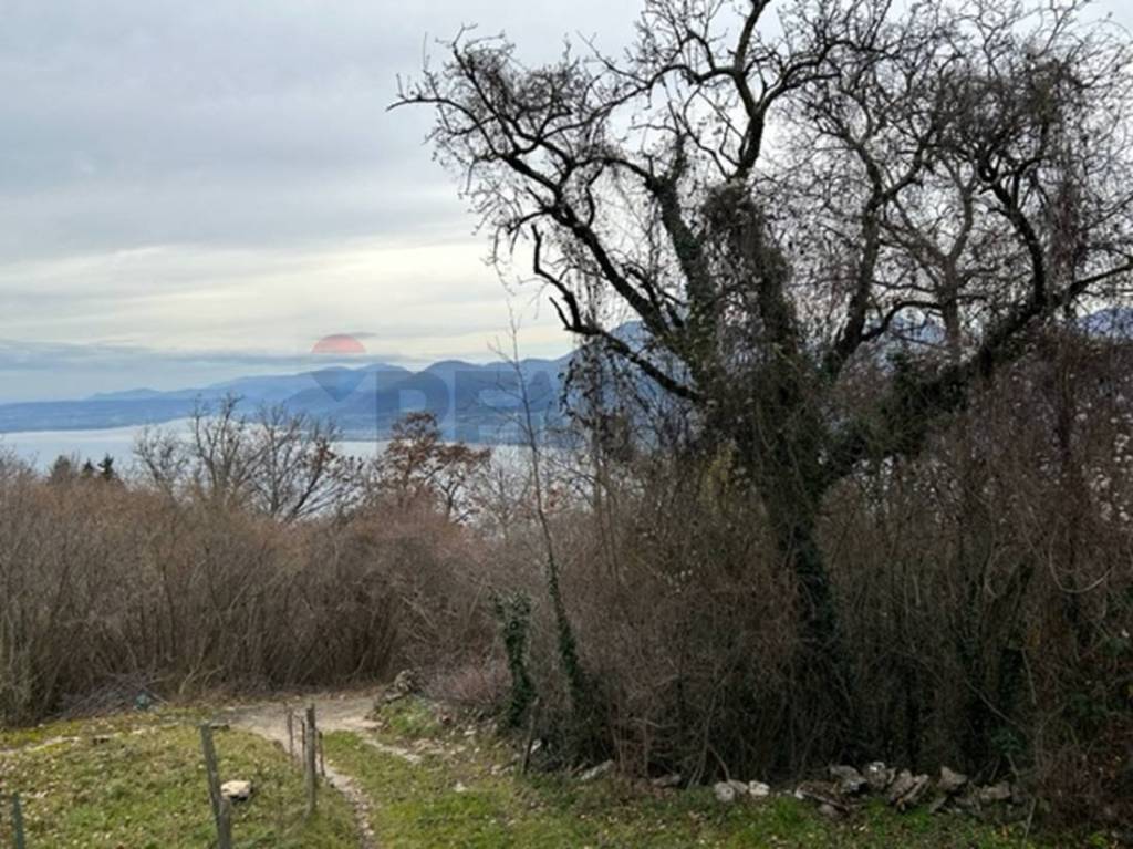 immagine annuncio 9 di 13