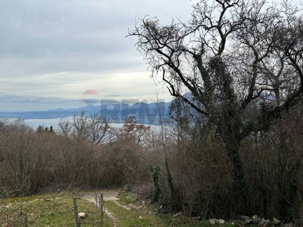 immagine annuncio 10 di 13