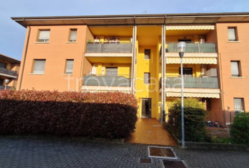 immagine annuncio 6 di 11