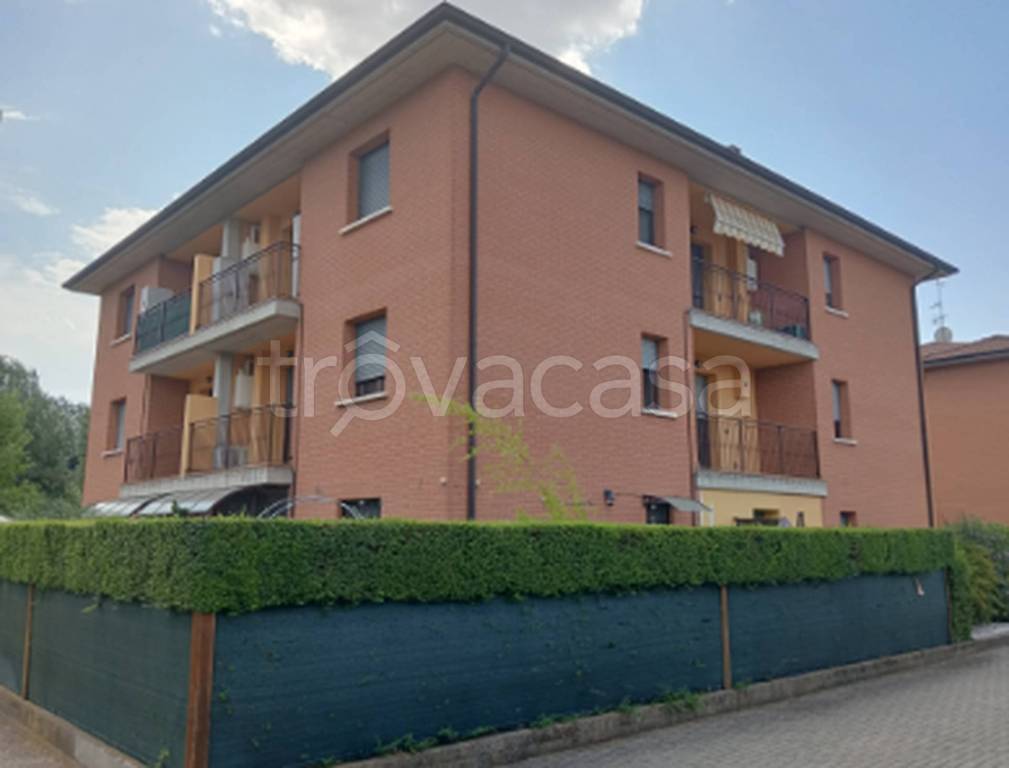 immagine annuncio 9 di 11