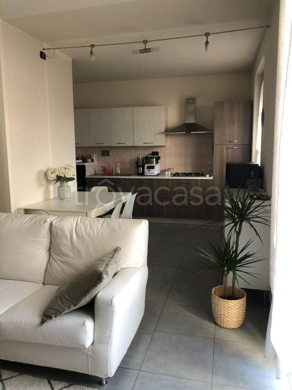 immagine annuncio 3 di 11