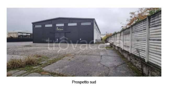 immagine annuncio 2 di 11