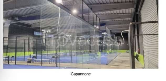 immagine annuncio 3 di 11