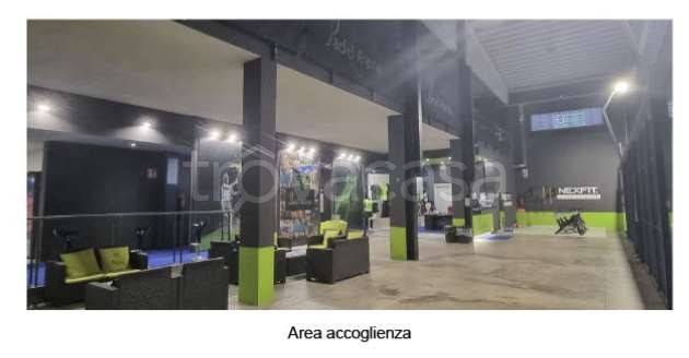 immagine annuncio 6 di 11