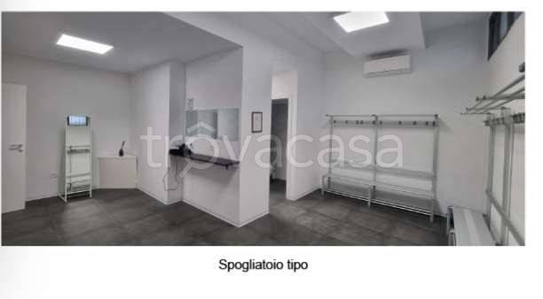 immagine annuncio 7 di 11